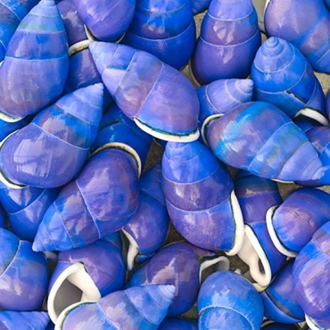 Бифлекс принтованный